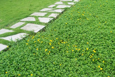 Pathsの写真素材