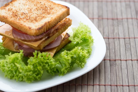 sandwich with cheese, tomato and smoked meatの写真素材