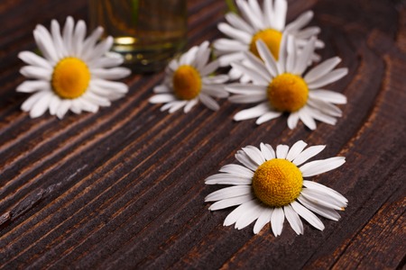 Arrayの写真素材