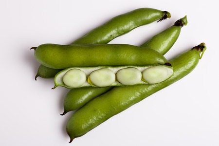 fresh broad beans on a white background.の写真素材