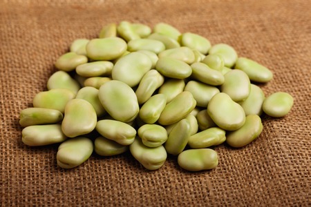 fresh broad beans on a rustic background.の写真素材
