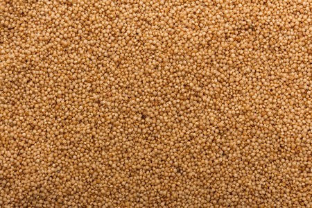fresh amaranth grains on a rustic background.の写真素材