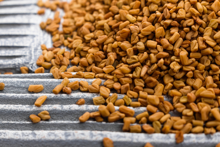 fragrant grains of fenugreek on a rustic background.の写真素材