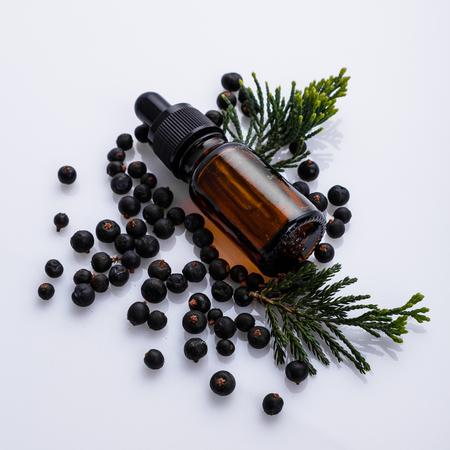 juniper essential oil on a white background.の写真素材