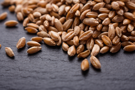 spelt seeds on a dark stone background.の写真素材
