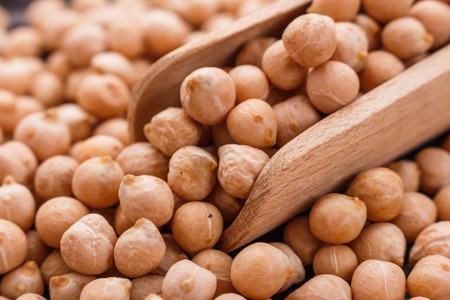 uncooked chickpeas background.の写真素材