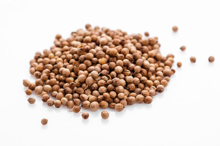 fragrant coriander seeds on a white background.の写真素材