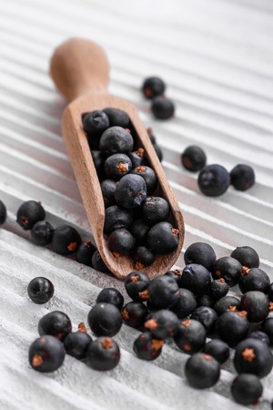 dried juniper berries on a white background.の写真素材