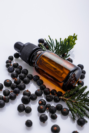 juniper essential oil on a white background.の写真素材