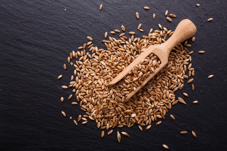 spelt seeds on a dark stone background.の写真素材