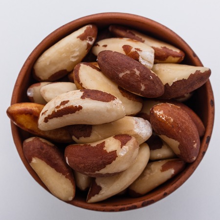 brazil nut on a white acrylic background.