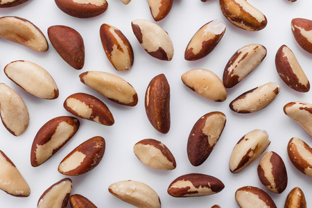 brazil nut on a white acrylic background.の写真素材