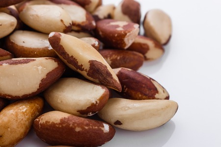 brazil nut on a white acrylic background.の写真素材