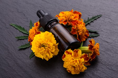 essential oil marigold on a dark stone background.の写真素材