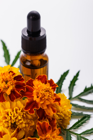 essential oil marigold on a white background.の写真素材