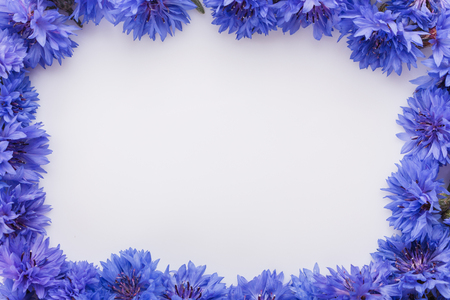essential oil of cornflower on a white background.の写真素材