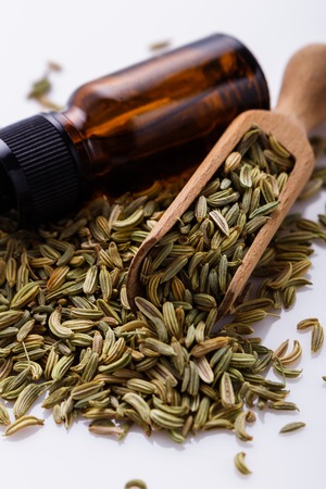 essential oil of fennel seeds on a white background.の写真素材
