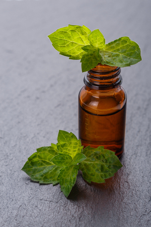 essential oil of peppermint on a dark stone background.の写真素材