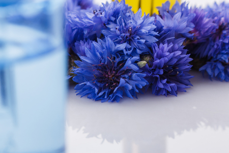 essential oil of cornflower on a white background.の写真素材