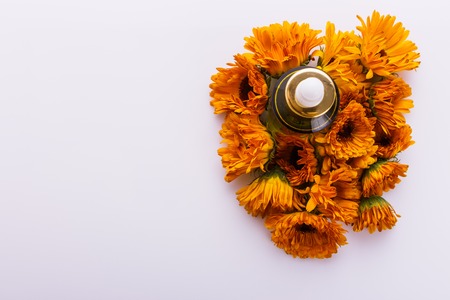 essential oil of calendula on a white background.の写真素材
