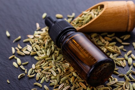 Essential oil of fennel seeds on a dark stone background.の写真素材