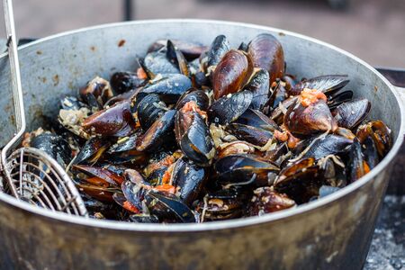 mussels at the counter of the street food festival.の写真素材
