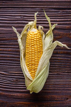 corn cob on dark wooden rustic background.