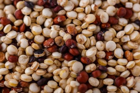 mix of quinoa grains on white acrylic background.の写真素材