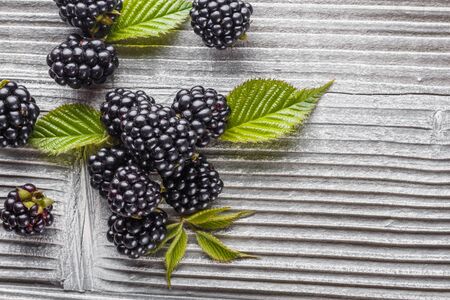 juicy blackberries on gray wooden rustic background.の写真素材