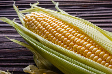 corn cob on dark wooden rustic background.