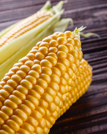 corn cob on dark wooden rustic background.の写真素材