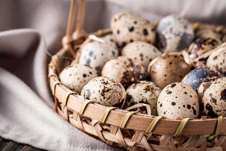 fresh quail eggs on a dark wooden rustic background.の写真素材