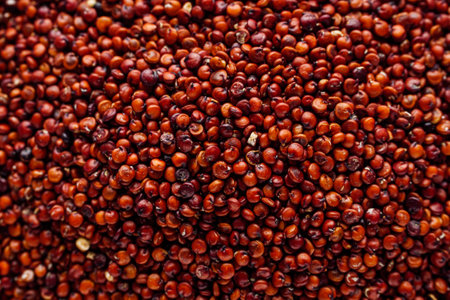 red quinoa seeds on a white acrylic background.の写真素材