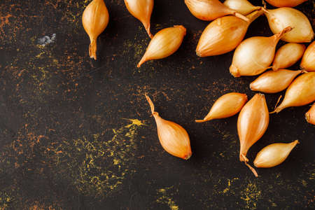 onion seeds on a dark rustic background.