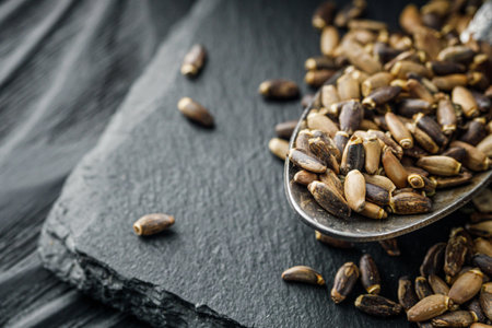 milk thistle seeds on a black wooden rustic background.の写真素材