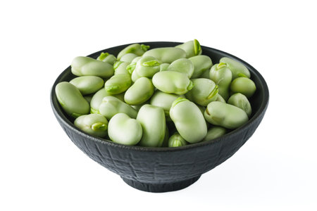 fresh greens broad beans fava on a white background.の写真素材