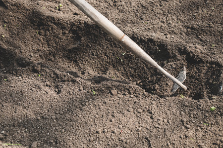 farmer prepares the soil with a hoe before planting plants.