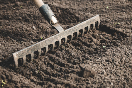 farmer prepares the soil with a rake before planting plants.の写真素材