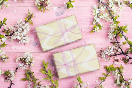Apple blossom and gift boxes on pink wooden background. Spring flowering branch.の写真素材