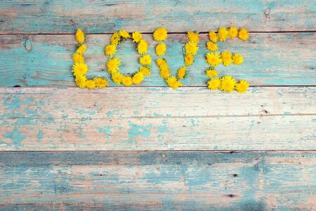 Word "love" from yellow dandelions on old turquoise wooden background. Top view, flat lay, copy space.の写真素材