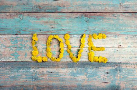 Word "love" from yellow dandelions on old turquoise wooden background. Top view, flat lay, copy space.の写真素材
