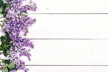 Lilac flowers on white wooden background. Top view, flat lay, copy space. Spring flowers.の写真素材