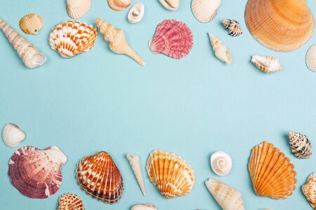 Background with frame of seashells on blue. Place for text. Top view with copy space.の写真素材