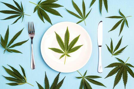 Medical concept table setting with cutlery and cannabis leaves on blue background. Top view.の写真素材