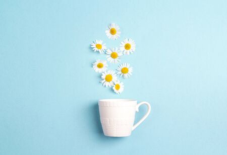 White cup and chamomile flowers on a blue background. Chamomiles come out of the cup like steam....