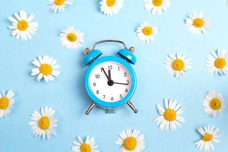 Blue alarm clock and chamomile flowers on blue background. Flat layer, top view.の写真素材