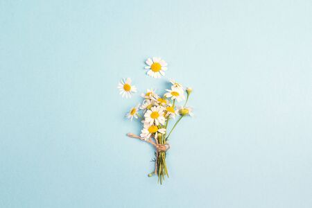 Little bouquet of chamomiles with copy space on blue background. Flat layer, top view.の写真素材