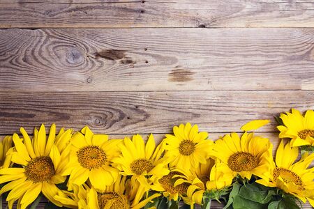 Yellow sunflowers on old wooden background. Copy space. Top view.の写真素材