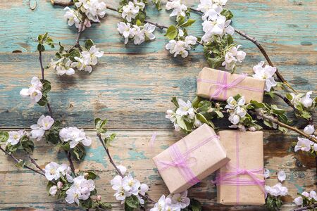Blossoming apple tree branches with gift boxes on wooden background. Copy space. Spring flowering...