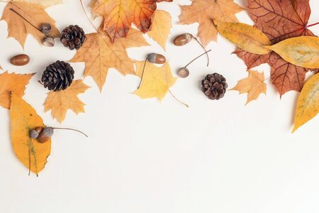 Border made of dried autumn leaves, cones and acorns on light background. Autumn composition. Flat...